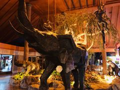 -清迈夜间动物园