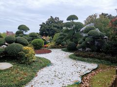 -上海鲜花港