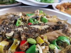 -李东农庄(中南百草园地标店)