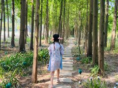 -上海长兴岛郊野公园