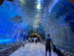 -华夏文旅海洋公园