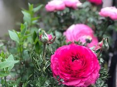 -茅庐·川粤精品私房菜(金沙遗址店)