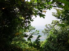 -兴福老面馆(寺路街店)