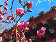 -丰台花园