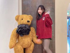 -朝安泰迪熊博物馆