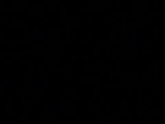 -泰州凤城河风景区-泰山公园