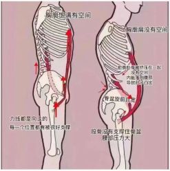 点击看大图 -昕孕瑜伽·孕妇瑜伽·产后修复