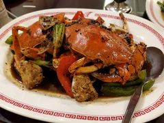 -中国城银都鱼翅酒楼