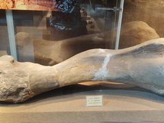 -丁村民俗博物馆