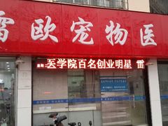 android_upload_pic-瑞派雷欧宠物医院·24h夜诊·心脏骨科牙科·全科重症转诊中心(无影山店)