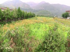 -藏山旅游风景区