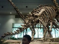 -自贡恐龙博物馆