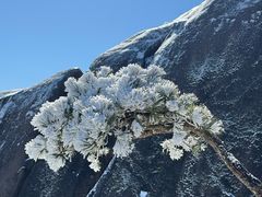 -黄山光明顶山庄