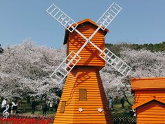 -苏州上方山国家森林公园