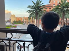 -环球影城莲花园 The Lotus Garden Universal Studios 