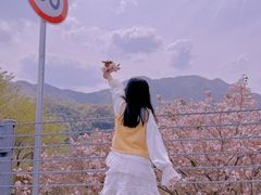 -四明山国家森林公园