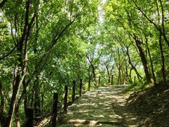 -北京鹫峰国家森林公园