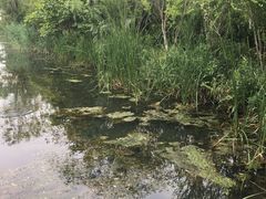 -天鹅湖体育公园