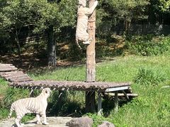 -宁波野生动物园