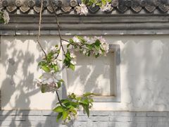 -海棠花溪(元大都城垣遗址公园)