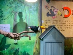 -Zoolung Zoolung动物主题公园(海信广场店)