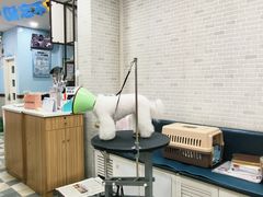 -总动员动物医院(宝丰院店)