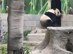-南昌动物园