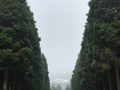 -井冈山革命烈士陵园