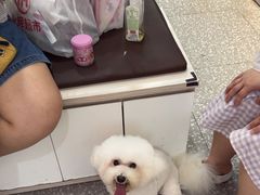 -宠物家(角门东店)