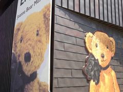 -济州岛泰迪熊博物馆