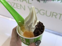 -Salud撒露欧洲冻酸奶(五道口购物中心店)