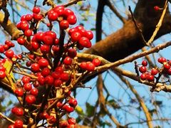 -华南国家植物园-售票处