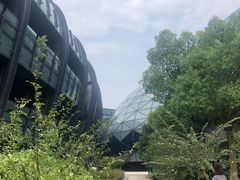 -上海滴水湖皇冠假日酒店