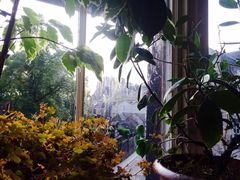 iphone_upload_pic-大象咖啡馆