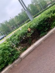 -HEYAN长风荷妍专业脱毛美肤
