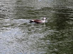 -辽宁古生物博物馆