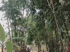 -曼丢傣家古寨