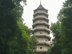 -灵谷景区