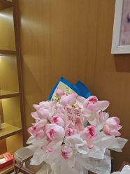 -四川米兰柏羽医学美容医院
