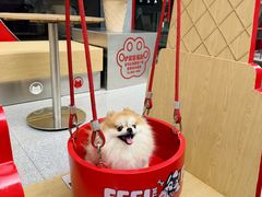 -DQ·蛋糕·冰淇淋(五角场万达店)