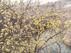 -黄河小浪底水利枢纽风景区