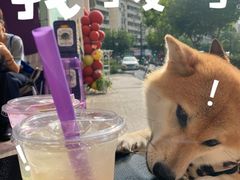 -HANA COFFEE(长寿路店)