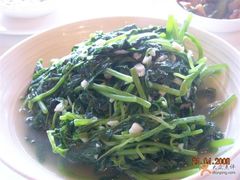 蒜茸苋菜-彩蝶轩