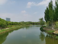 -大兴滨河森林公园