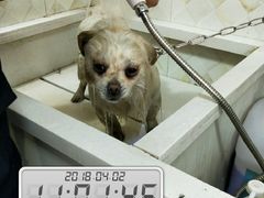 -惠宾花鸟宠物店