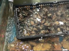 -渔码头食府(蓬莱阁店)