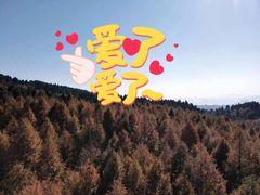 -山王坪喀斯特国家生态公园
