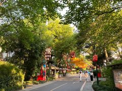 -西溪国家湿地公园