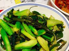 -壹盏灯(惠农店)