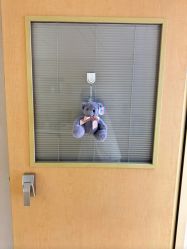 -杭州贝瑞斯美华妇儿医院·早孕·产检·儿科